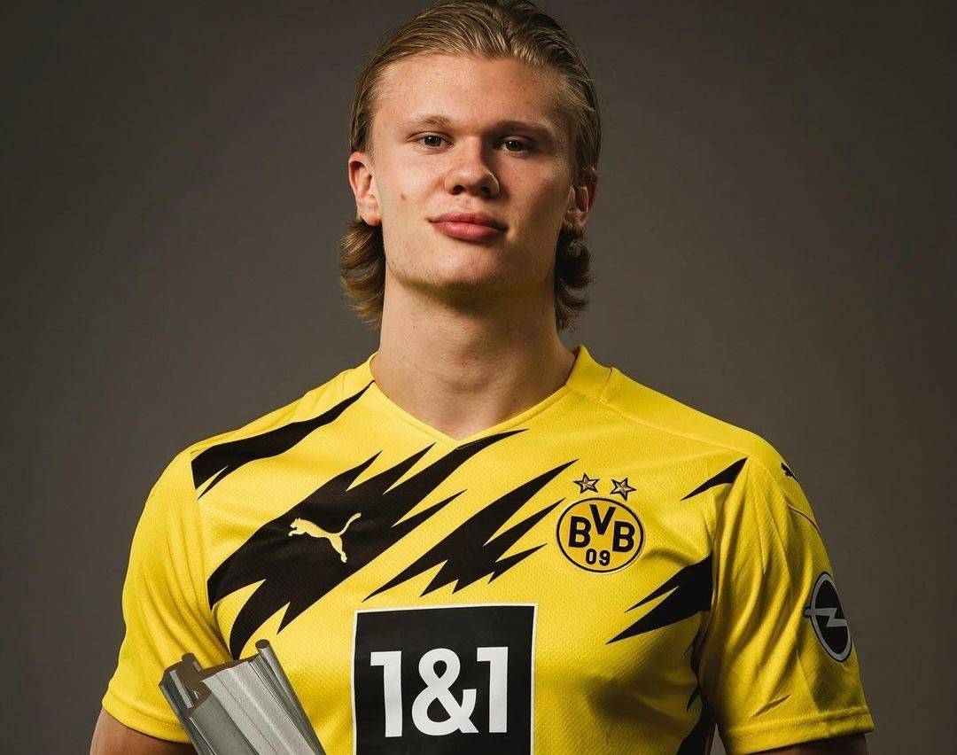 可防守的领 可防守的领