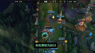 文章与短视 文章与短视